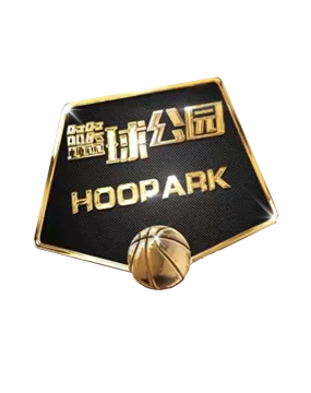 政府的认可