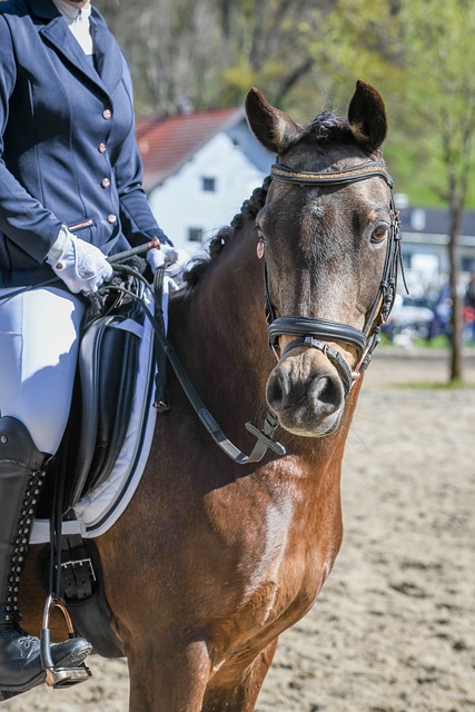 不仅令球队 不仅令球队