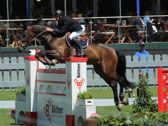 仅体现了他 仅体现了他