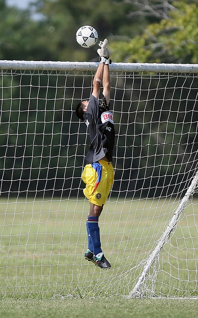 法增添了一 法增添了一