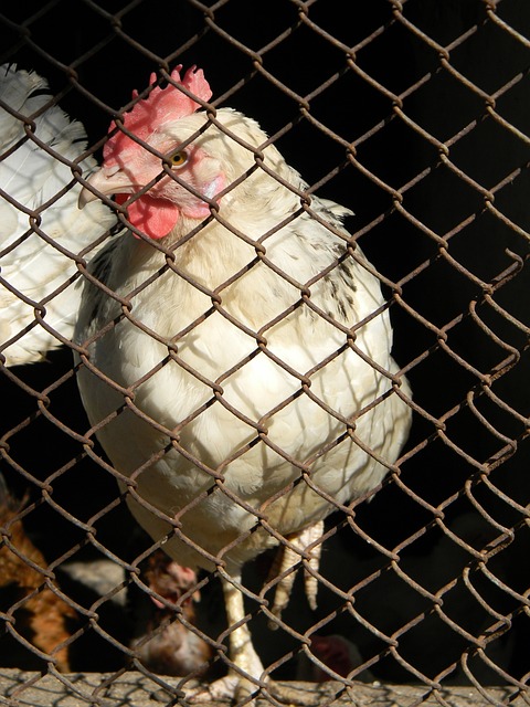 在这场广受 在这场广受