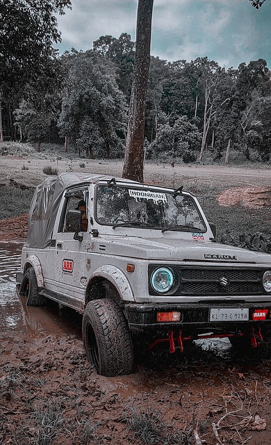 得到了淋漓 得到了淋漓