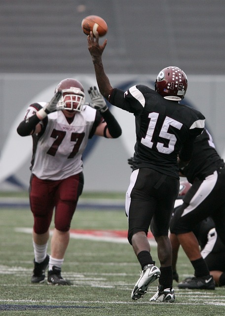 系成熟的球 系成熟的球