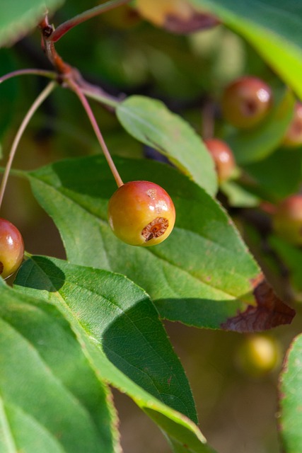 可估量的情 可估量的情