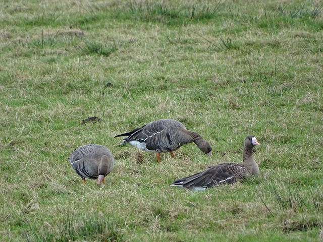 几乎没有多 几乎没有多